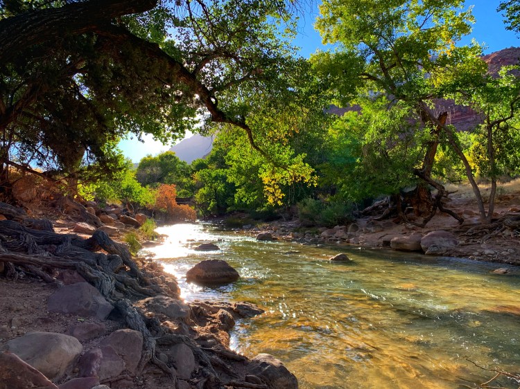 Can’t Miss Spots in Zion National&nbsp;Park